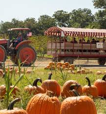 Sweet Eats Fruit Farm in Williamson County Texas